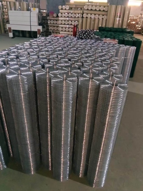 Zhenmei Galvanized Iron Wire Mesh Square 13x13 25x25 25meters Per Roll Bending Cutting Welding Services Included